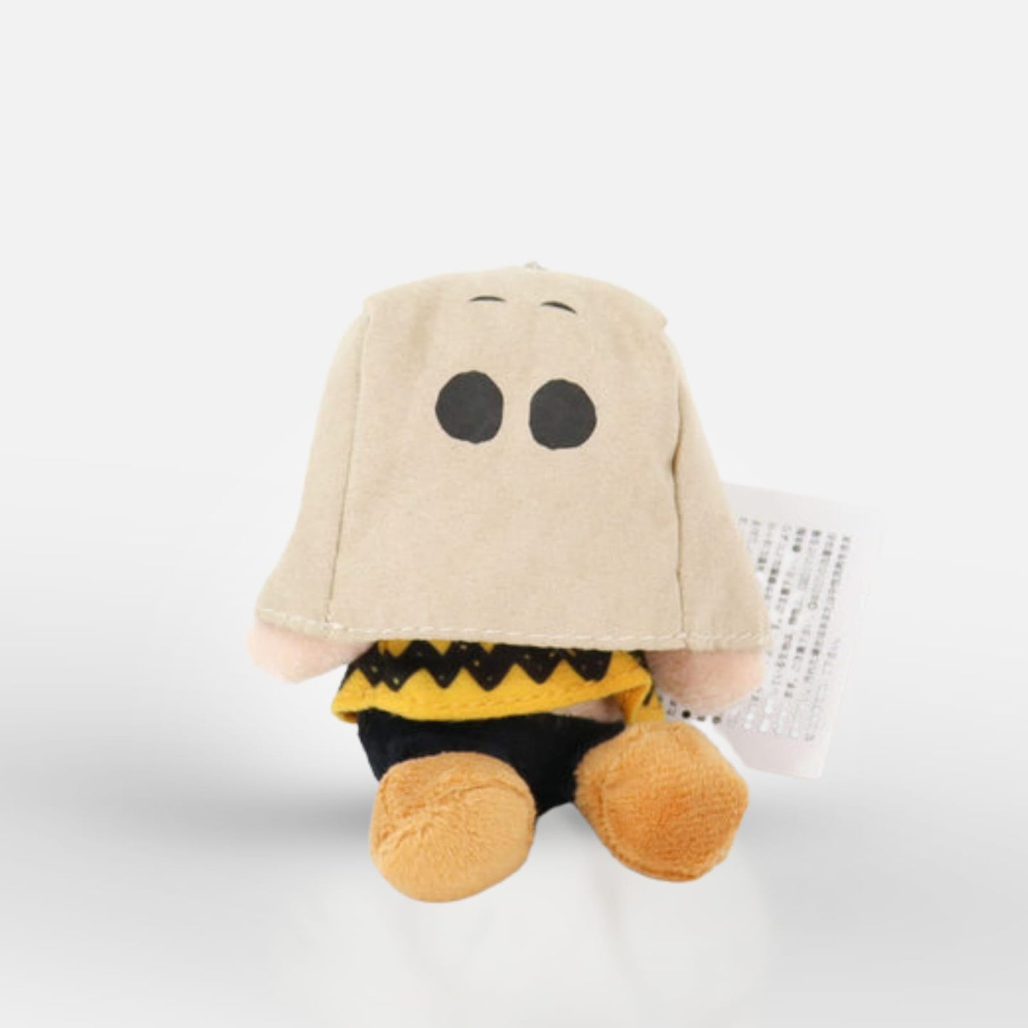 Snoopy & Charlie Brown Plush